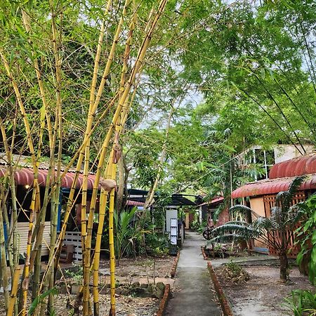 Blissfull Sweet Inn Pantai Cenang  Luaran gambar