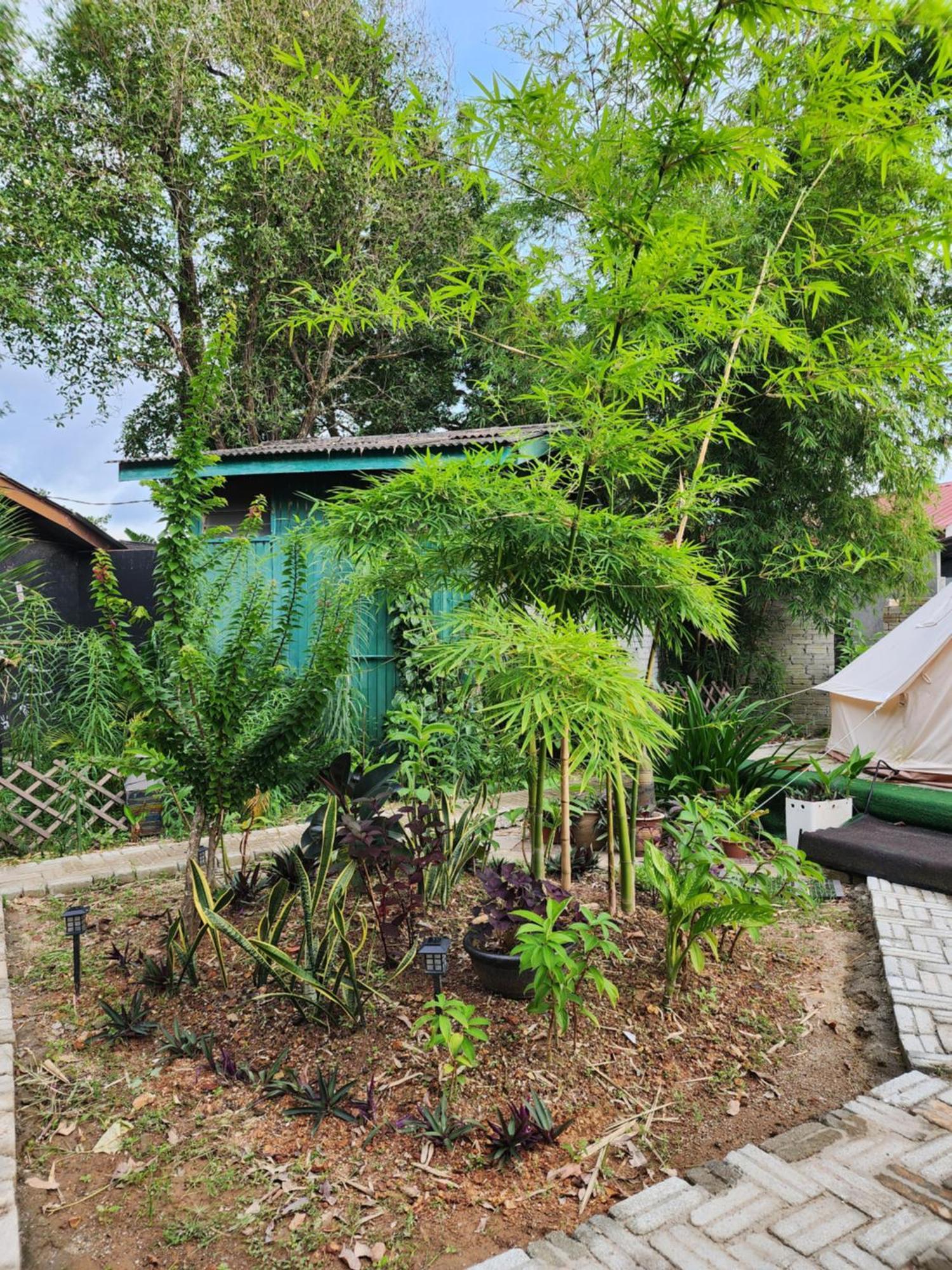 Blissfull Sweet Inn Pantai Cenang  Luaran gambar