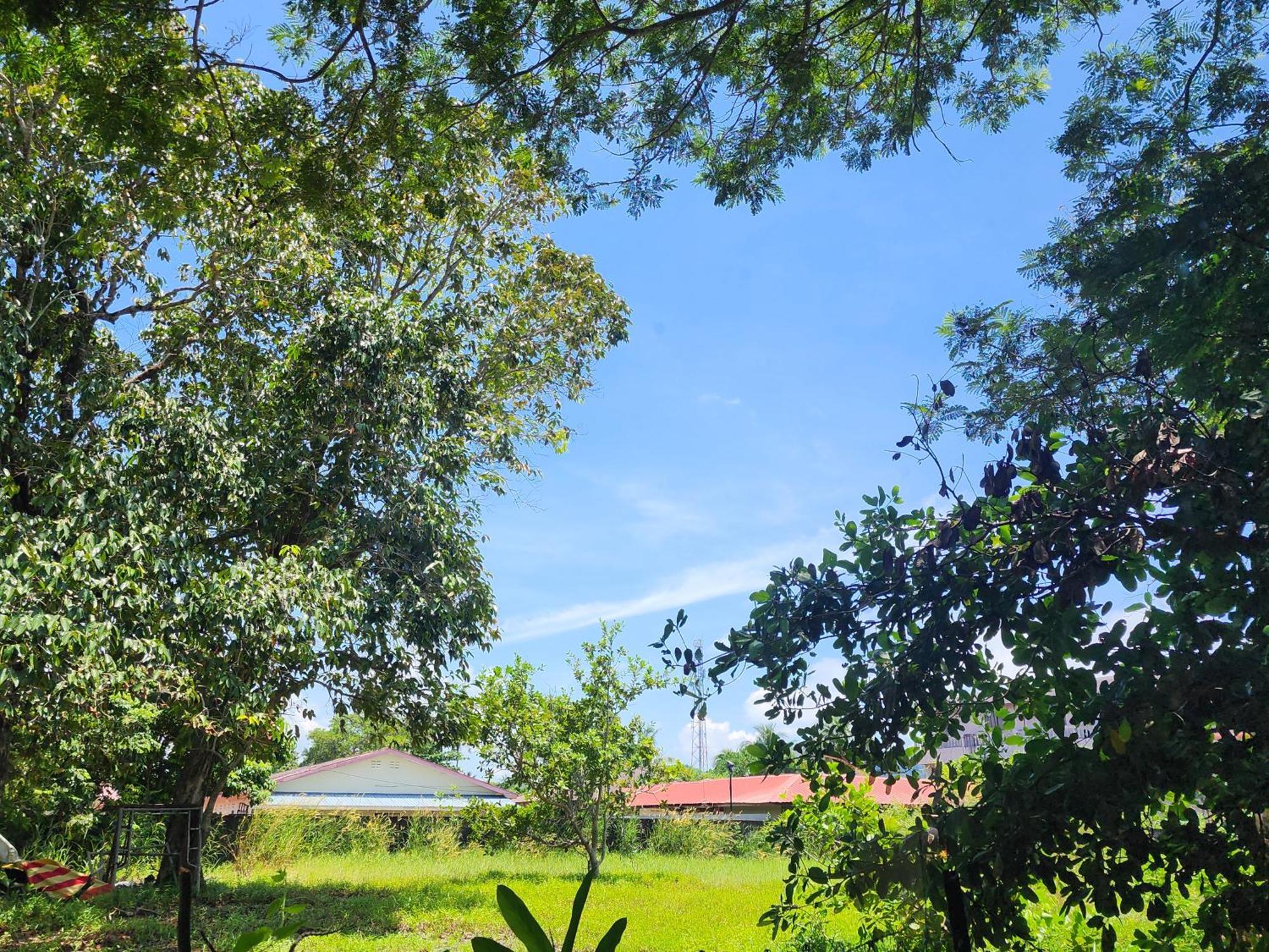 Blissfull Sweet Inn Pantai Cenang  Luaran gambar