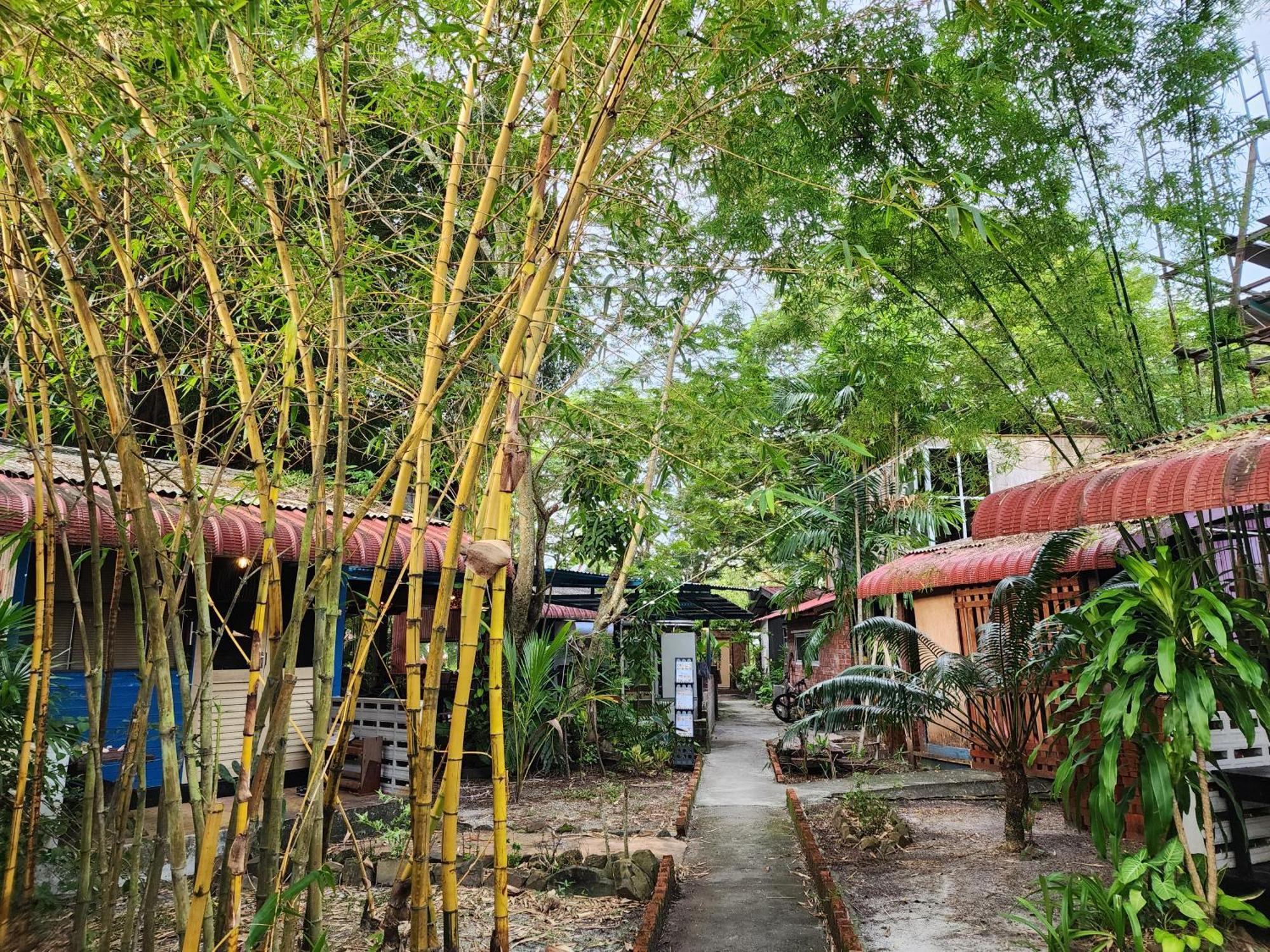 Blissfull Sweet Inn Pantai Cenang  Luaran gambar